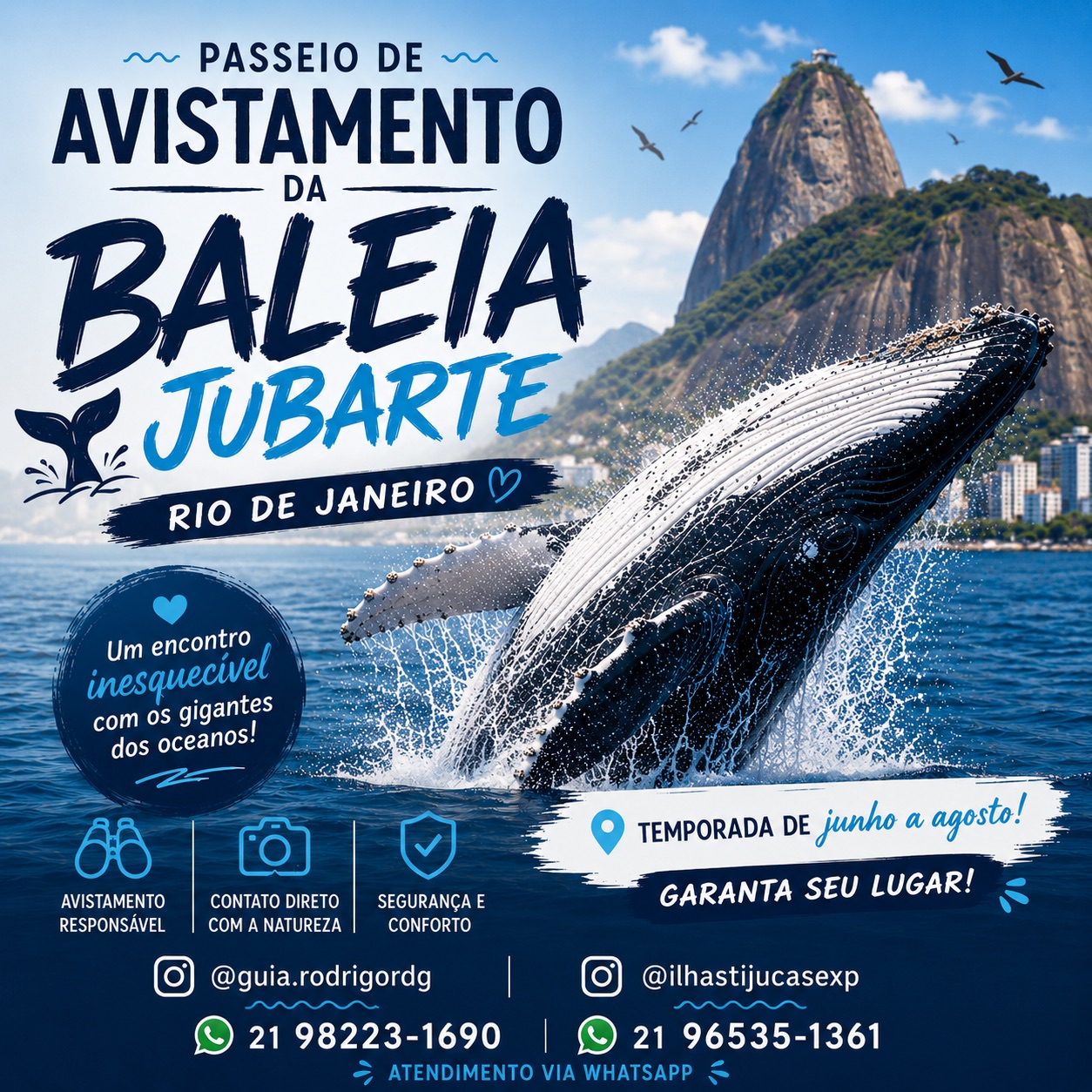 Avistamento de Baleias Jubarte